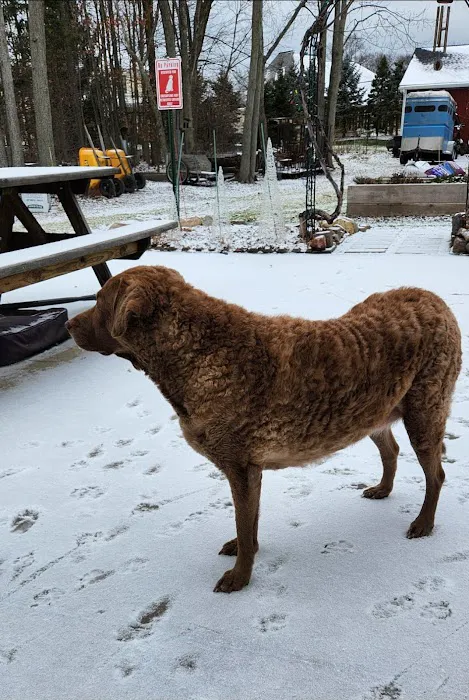 Animal Health Center of North Olmsted Picture 5
