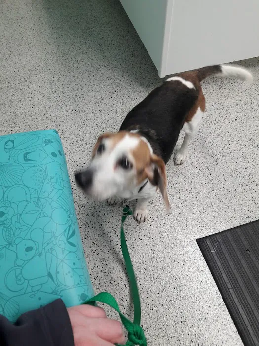 Bretton Ridge Animal Clinic Picture 5