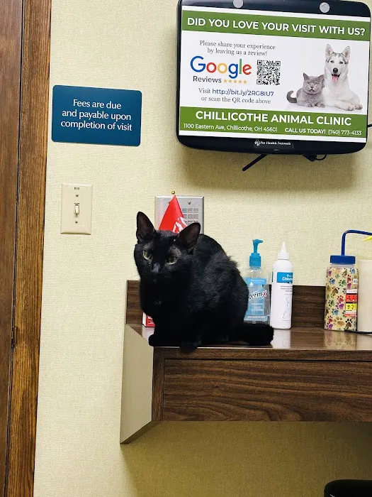Chillicothe Animal Clinic Picture 3