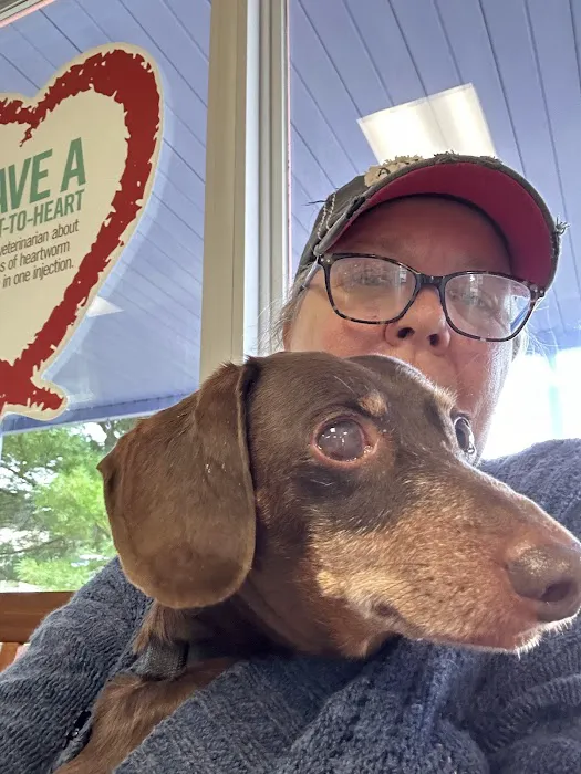 Animal Care Clinic, Dr Lisa Pelfrey Picture 1
