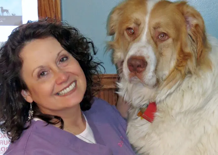 Companion Animal Hospital Inc. Picture 3
