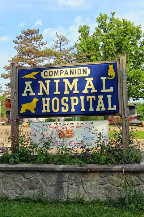 Companion Animal Hospital Inc. Picture 10
