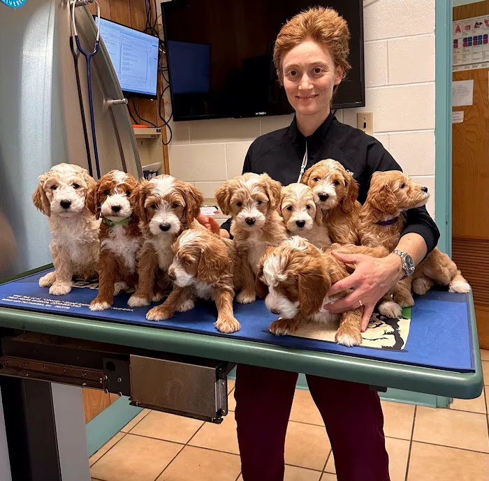 Tharp Animal Health Care Center Picture 6