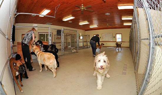 North Fork Animal Clinic Picture 6