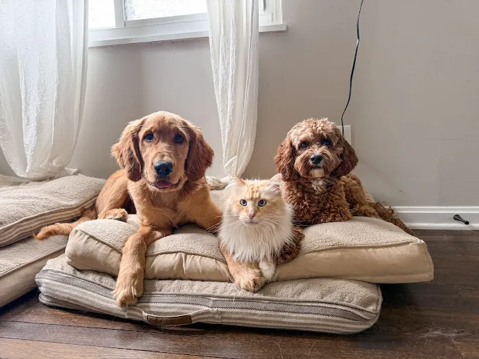 Banfield Pet Hospital Picture 5