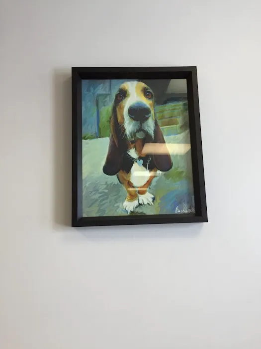Happy Pet Veterinary Hospital Picture 9