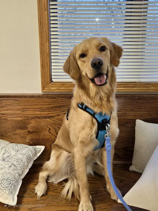 Happy Pet Veterinary Hospital Picture 7