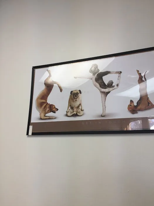 Happy Pet Veterinary Hospital Picture 10