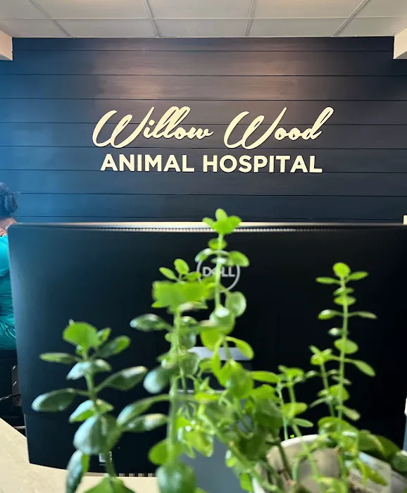 Willow Wood Animal Hospital Picture 1
