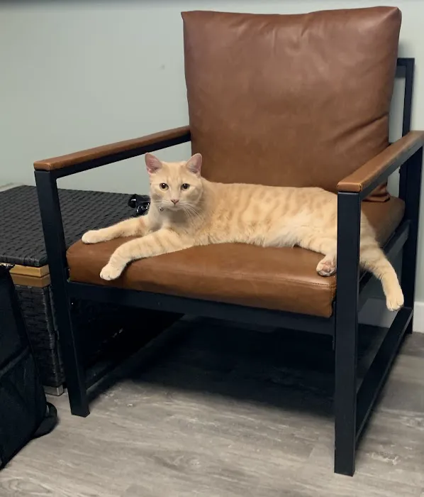 Willow Wood Animal Hospital Picture 7