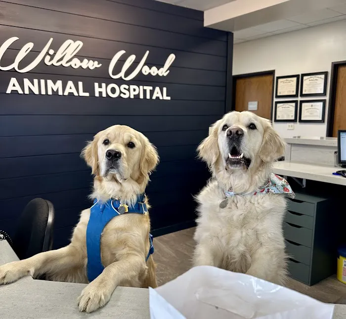 Willow Wood Animal Hospital Picture 8