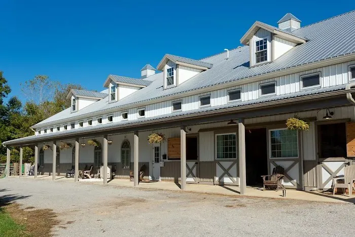 Bella Vista Equine Veterinary Services. Picture 1
