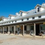 Bella Vista Equine Veterinary Services.