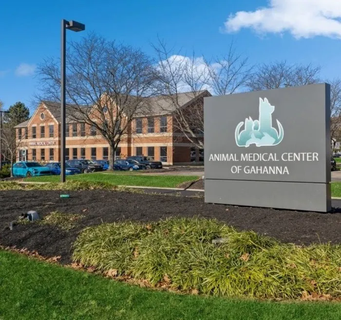 Animal Medical Center of Gahanna Picture 3