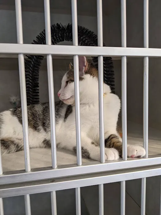 Animal Medical Center of Gahanna Picture 2