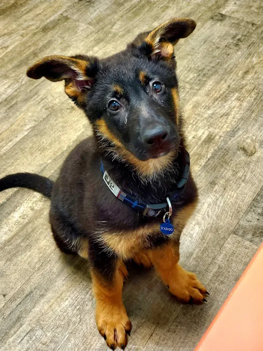 Happy Tails Veterinary Clinic Picture 1