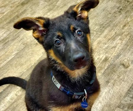 Happy Tails Veterinary Clinic