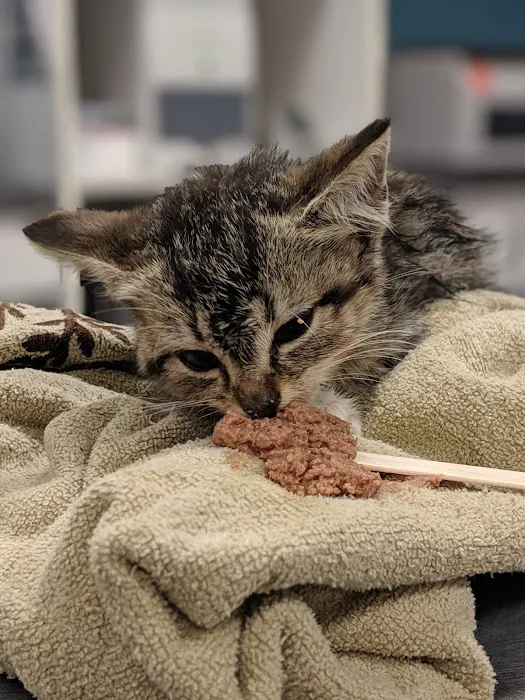 Happy Tails Veterinary Clinic Picture 10