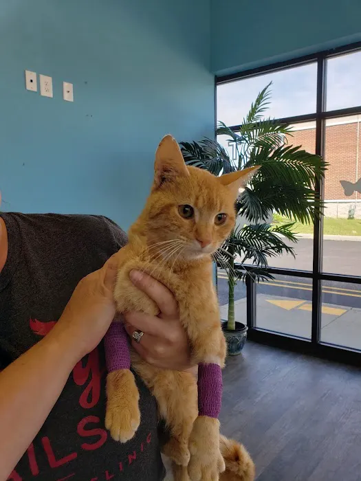 Happy Tails Veterinary Clinic Picture 6
