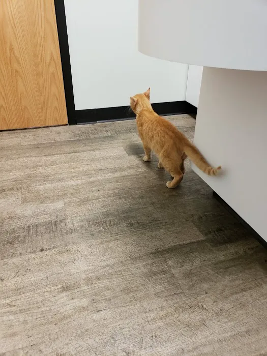 Happy Tails Veterinary Clinic Picture 7