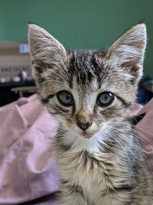 Happy Tails Veterinary Clinic Picture 2
