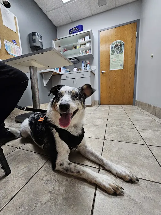 Gahanna Animal Hospital Picture 10