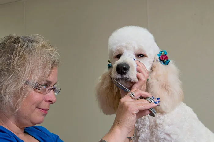 Gahanna Animal Hospital Picture 1
