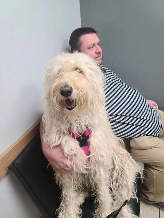Gahanna Animal Hospital Picture 8