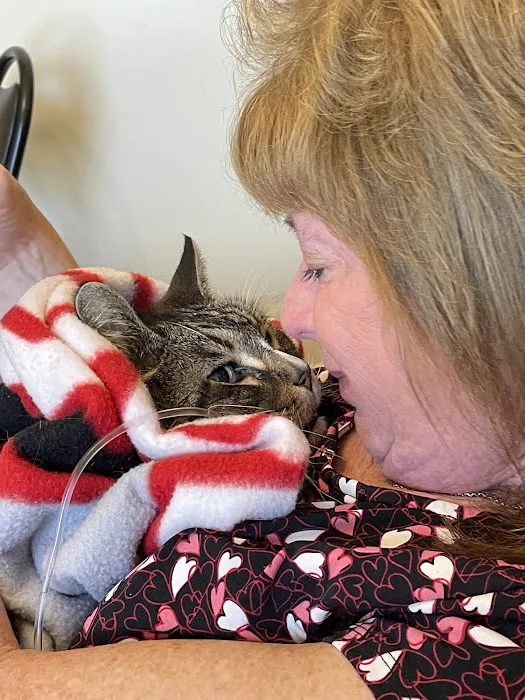 Gahanna Animal Hospital Picture 5