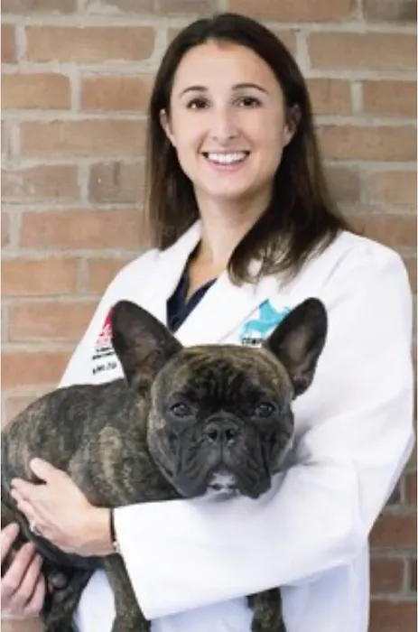 Complete Care Animal Hospital Picture 1