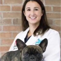 Complete Care Animal Hospital ico