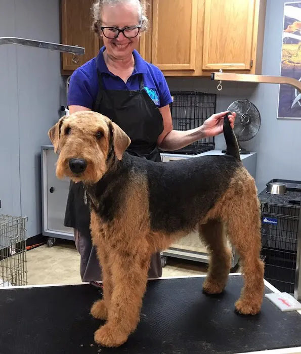 Complete Care Animal Hospital Picture 6