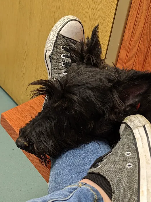 Hillside Veterinary Clinic Picture 10
