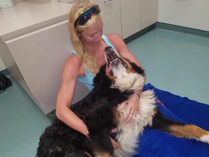 Hillside Veterinary Clinic Picture 5