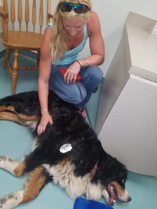 Hillside Veterinary Clinic Picture 3