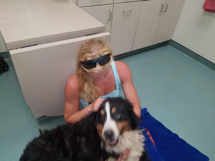 Hillside Veterinary Clinic Picture 4