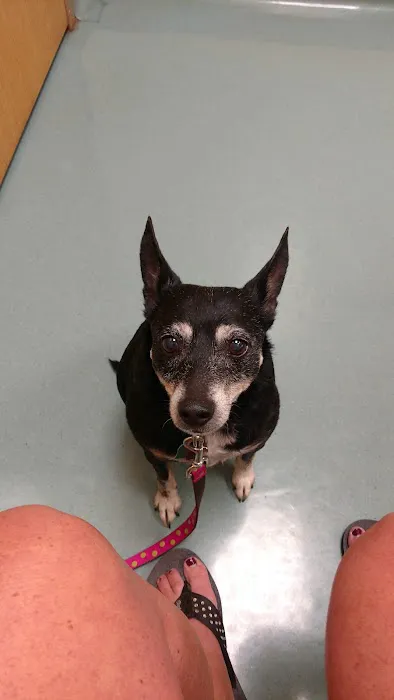 Hillside Veterinary Clinic Picture 1