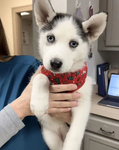 Groveport Animal Clinic Picture 2