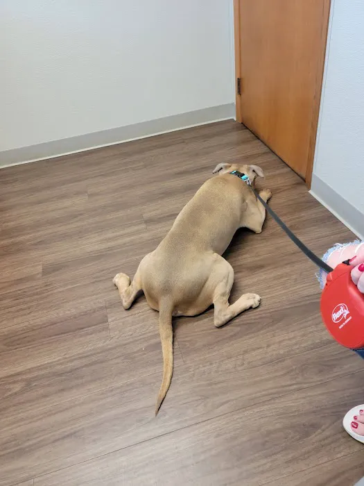 Obetz Animal Hospital Picture 7