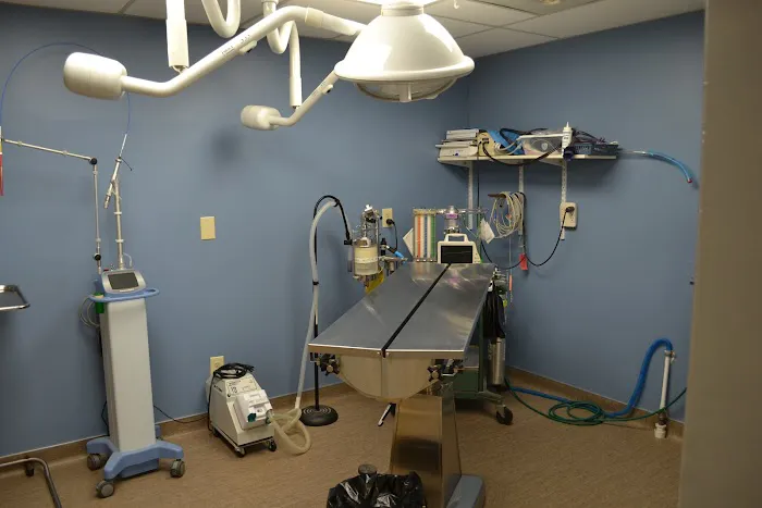 Obetz Animal Hospital Picture 9