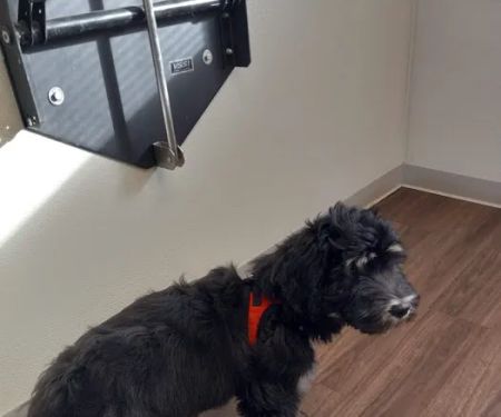 Obetz Animal Hospital