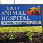 Obetz Animal Hospital: Waidelich, Nicole DVM