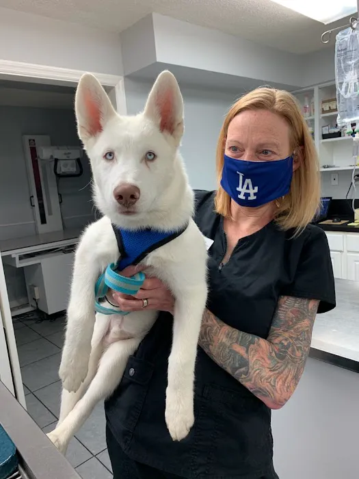 Berwick Animal Clinic Picture 9