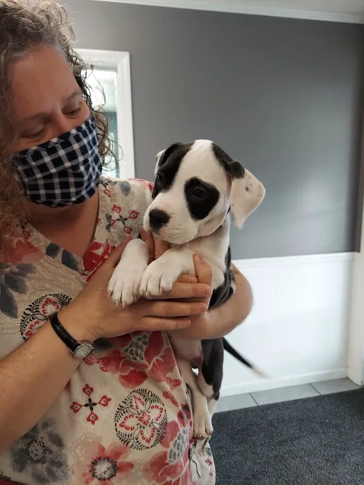 Berwick Animal Clinic Picture 5
