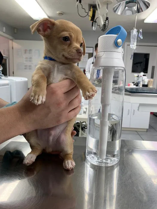 Berwick Animal Clinic Picture 10