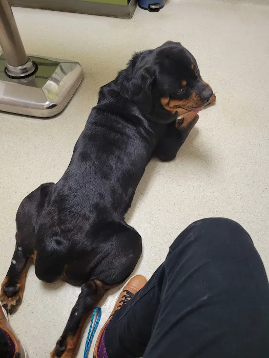 Hamilton Road Animal Hospital Picture 9