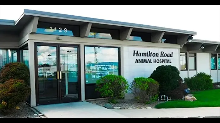 Hamilton Road Animal Hospital Picture 7