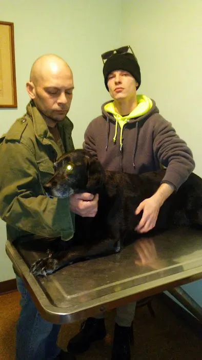 Eastmoor Animal Clinic Picture 5