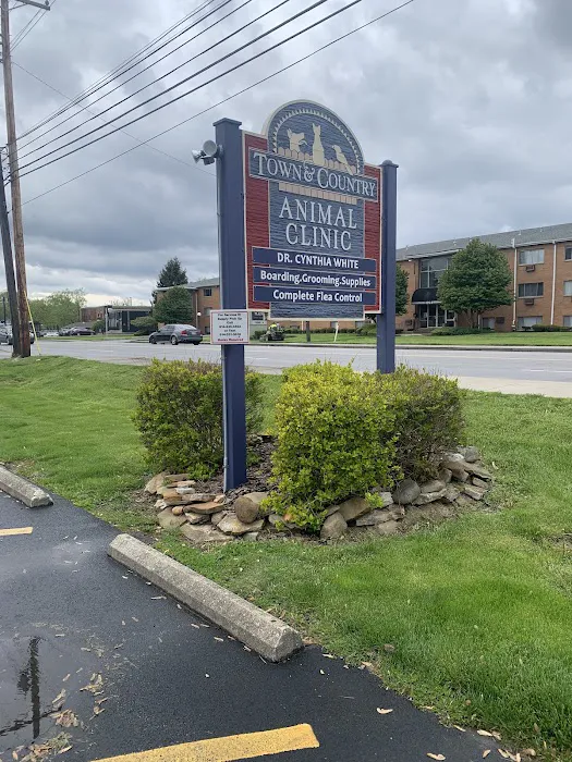 Town & Country Animal Clinic Picture 8