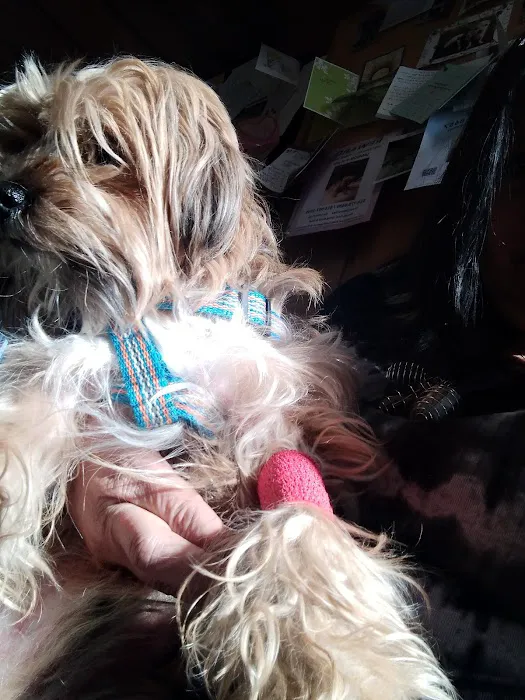 Town & Country Animal Clinic Picture 10